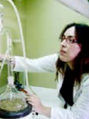 Naima Abattouy
