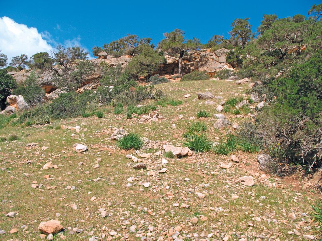L'abri sous roche d'Abou Tamsa, Djebel Akhdar, en Libye.