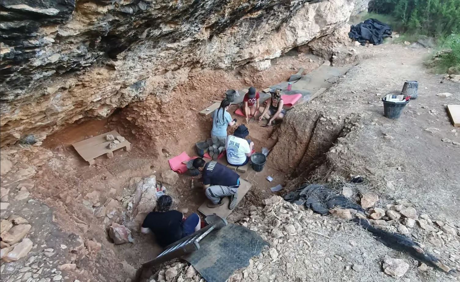 L'homo Néandertal il y a 65 000 à 100 000 ans.