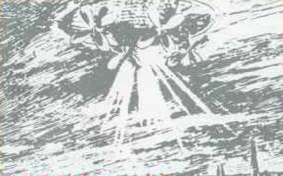 Airship