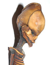 Alien de petite taille au Chili