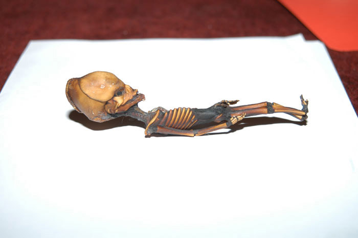 Alien de petite taille au Chili
