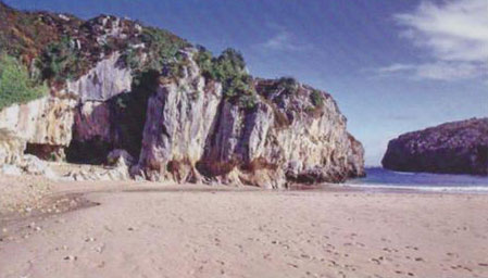 Amas coquilliers à côté de Cuevas del Mar (Llanes, Asturies, Cantabrie, Espagne), il y a 7 000 à 10 000 ans.