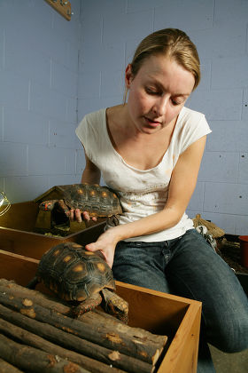L'éthologue Anna Wilkinson et ses tortues Esme & Quinn.