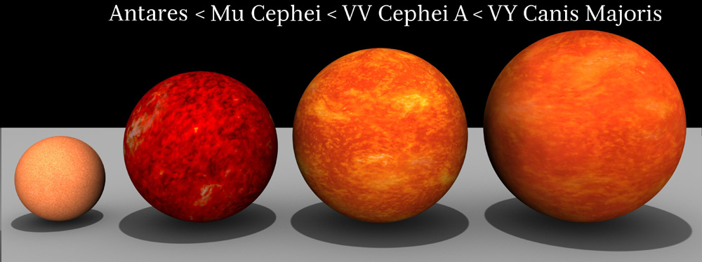 Taille comparative entre Antarès, μ Cephei (mu Cephei), VV Cephei A & VY Canis Majoris.