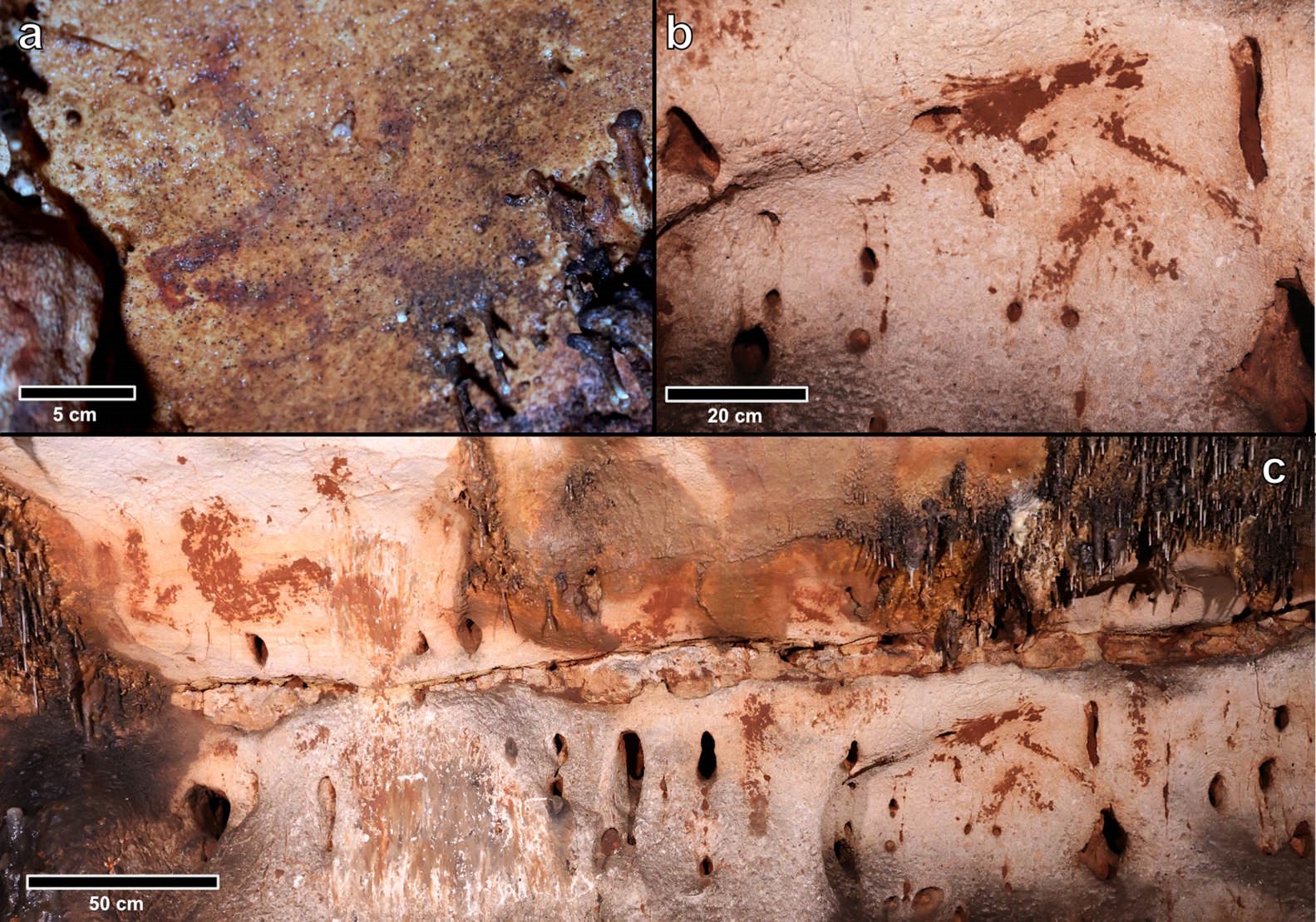 Art rupestre dans la Cova Dones, près de Valence, vieux de 24 000 ans.