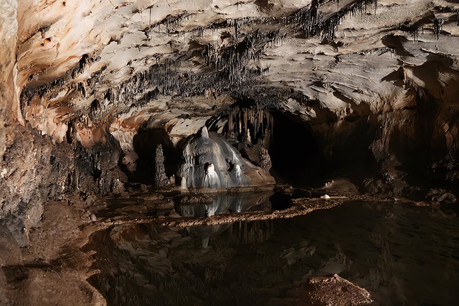 Art rupestre dans la Cova Dones, près de Valence, vieux de 24 000 ans.