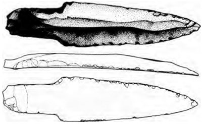 Artefacts archaïques Carte des Caraïbes (ou mer des Sargasses) et des régions voisines (Grandes Antilles).