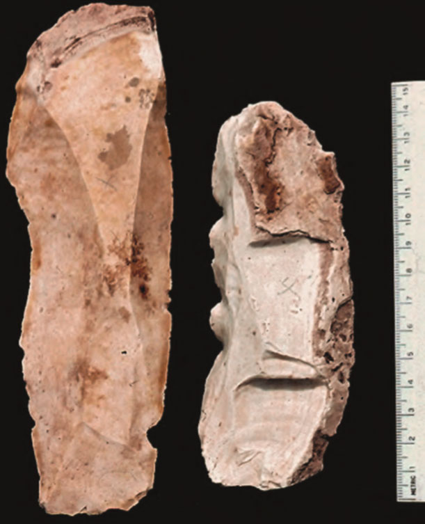 Artefacts archaïques Carte des Caraïbes (ou mer des Sargasses) et des régions voisines (Grandes Antilles).