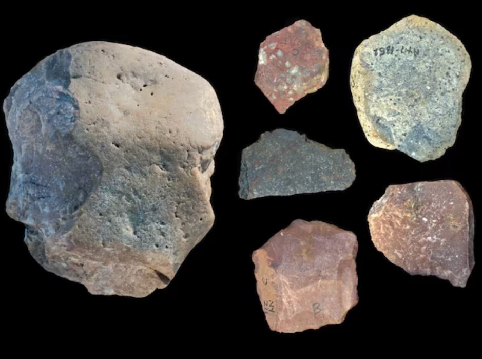 Artefacts du genre Paranthropus, telle la tête d'une figurine sur le site de Nyanyanga au Kenya, vieille de 3,3 millions d'années.