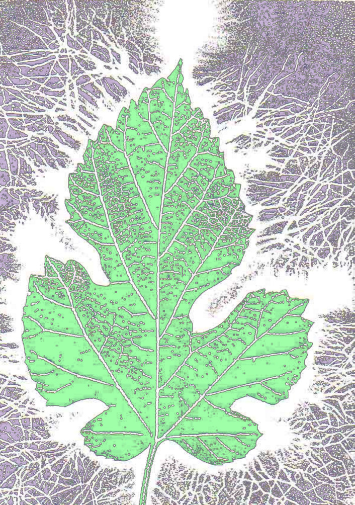 Aura d'une feuille morte
