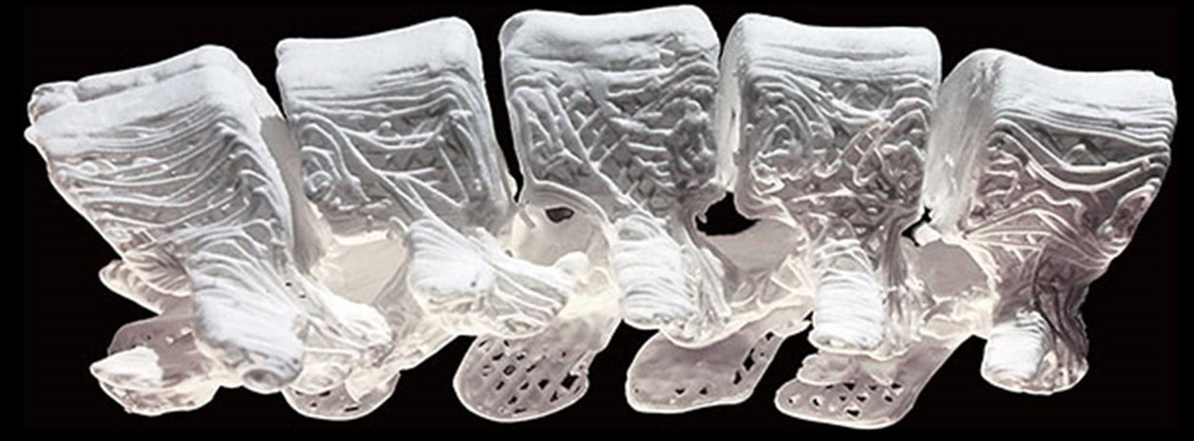 Australopithecus sediba (Johannesburg, Afrique du Sud)