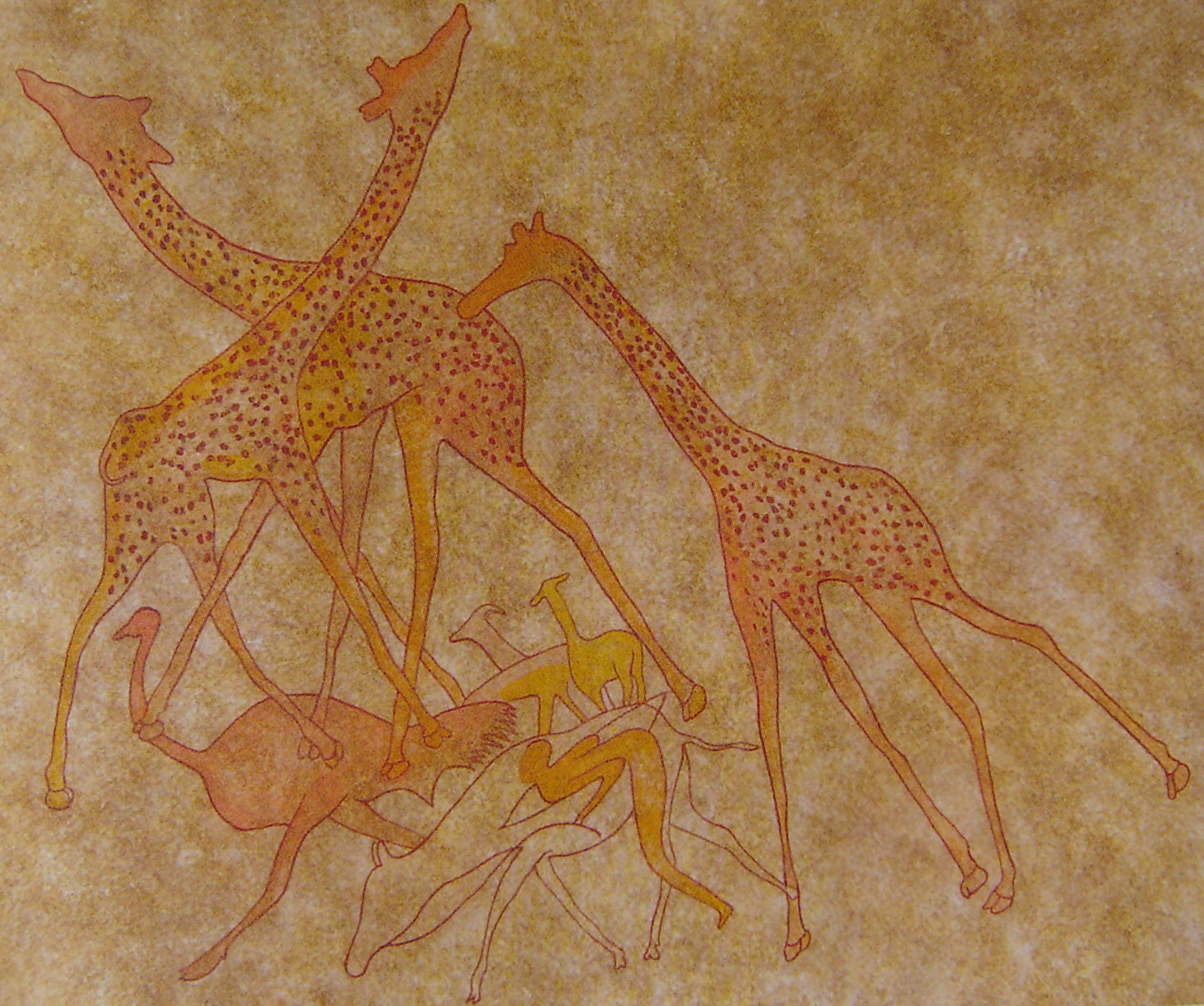 Autruches & girafes.