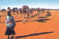 Azalai