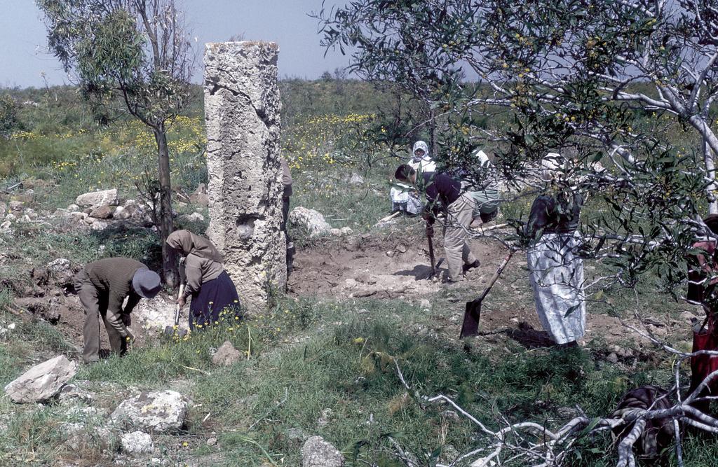Basilique de la Campanopétra à Salamine, en Chypre.