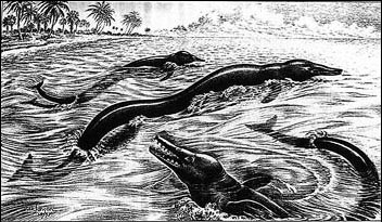 Basilosaurus