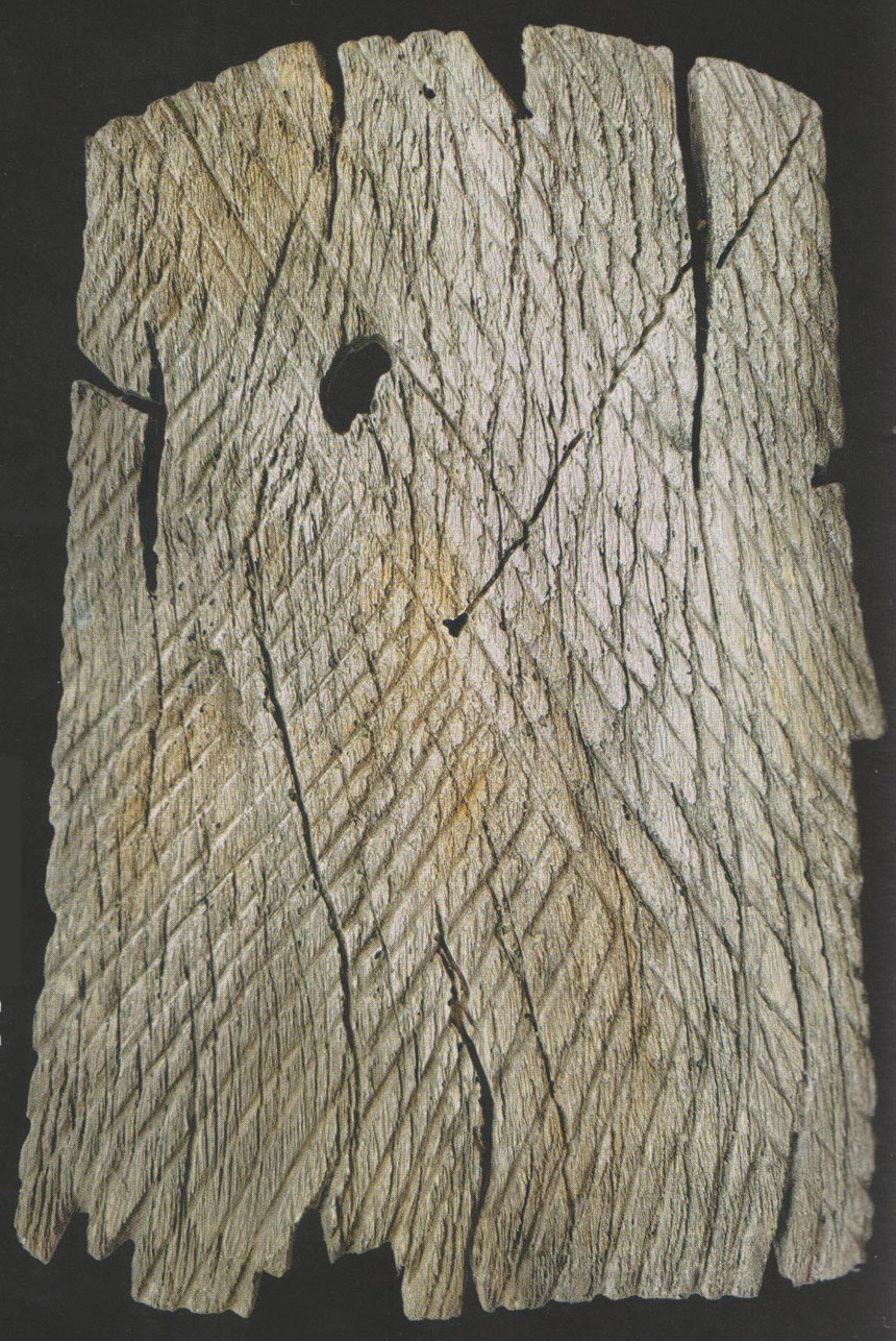 Bouclier de bois