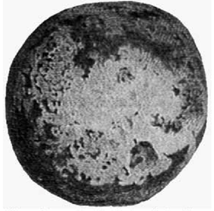 Boule de craie de vieille de 55 à 45 millions d'années.