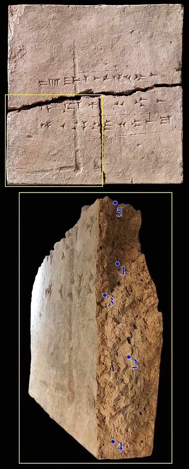 Brique d'argile & plante incrustée (Kalkhu, Mésopotamie, Irak