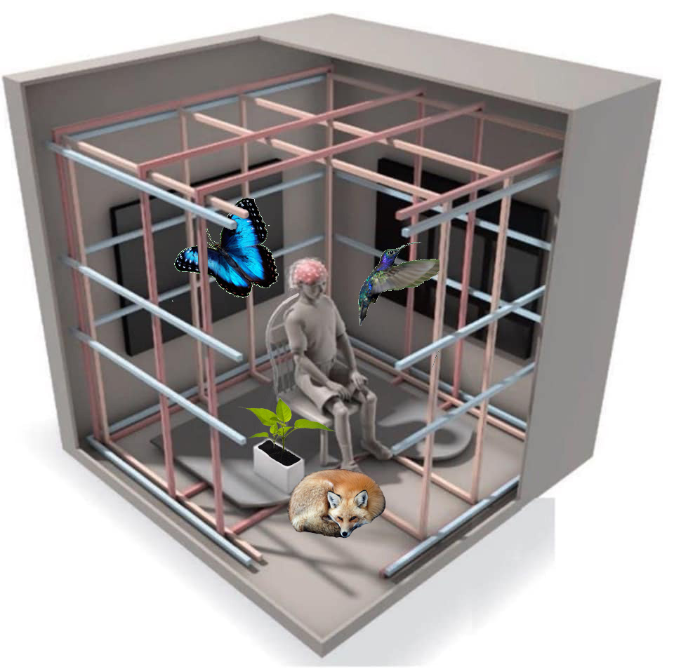 Cage de Faraday au Caltechn