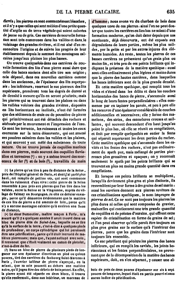 Canon de pistolet en fer pétrifié dans la pierre calcaire.