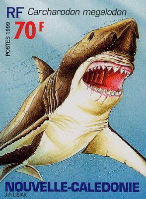 Carcharodon megalodon