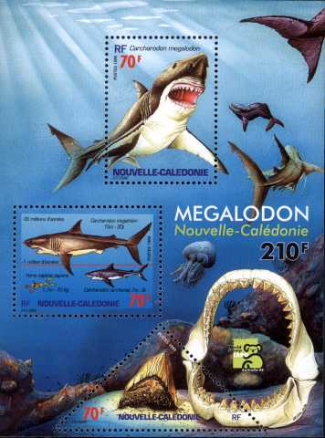 Carcharodon megalodon
