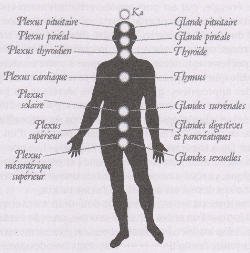 Chakras, centres énergétiques.