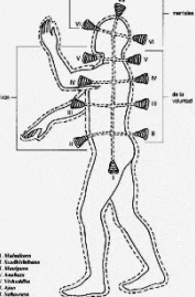 Chakras & implants