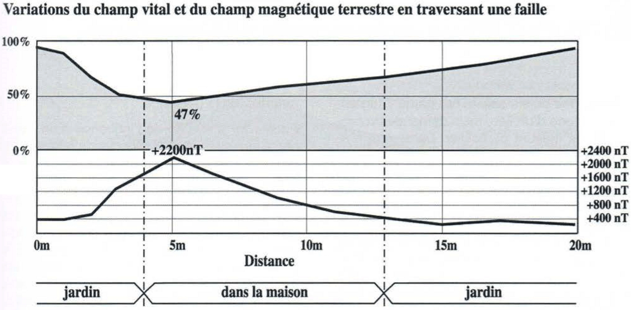 Variations du champ vital et du champ magnétique terrestre en traversant une faille