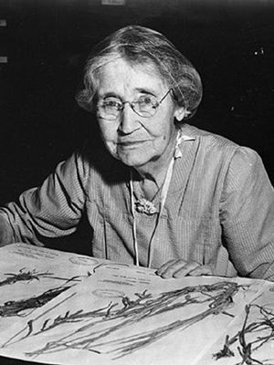 Mary Agnes Chase