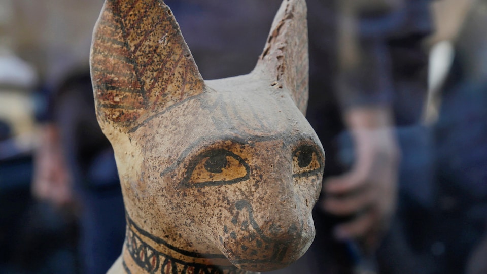 Chat en Egypte