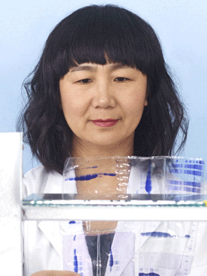 Hualan Chen