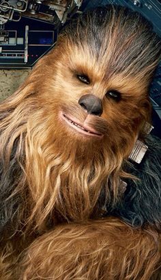 Chewbaccca dans l'épisode de 1980 L'Empire contre-attaque
