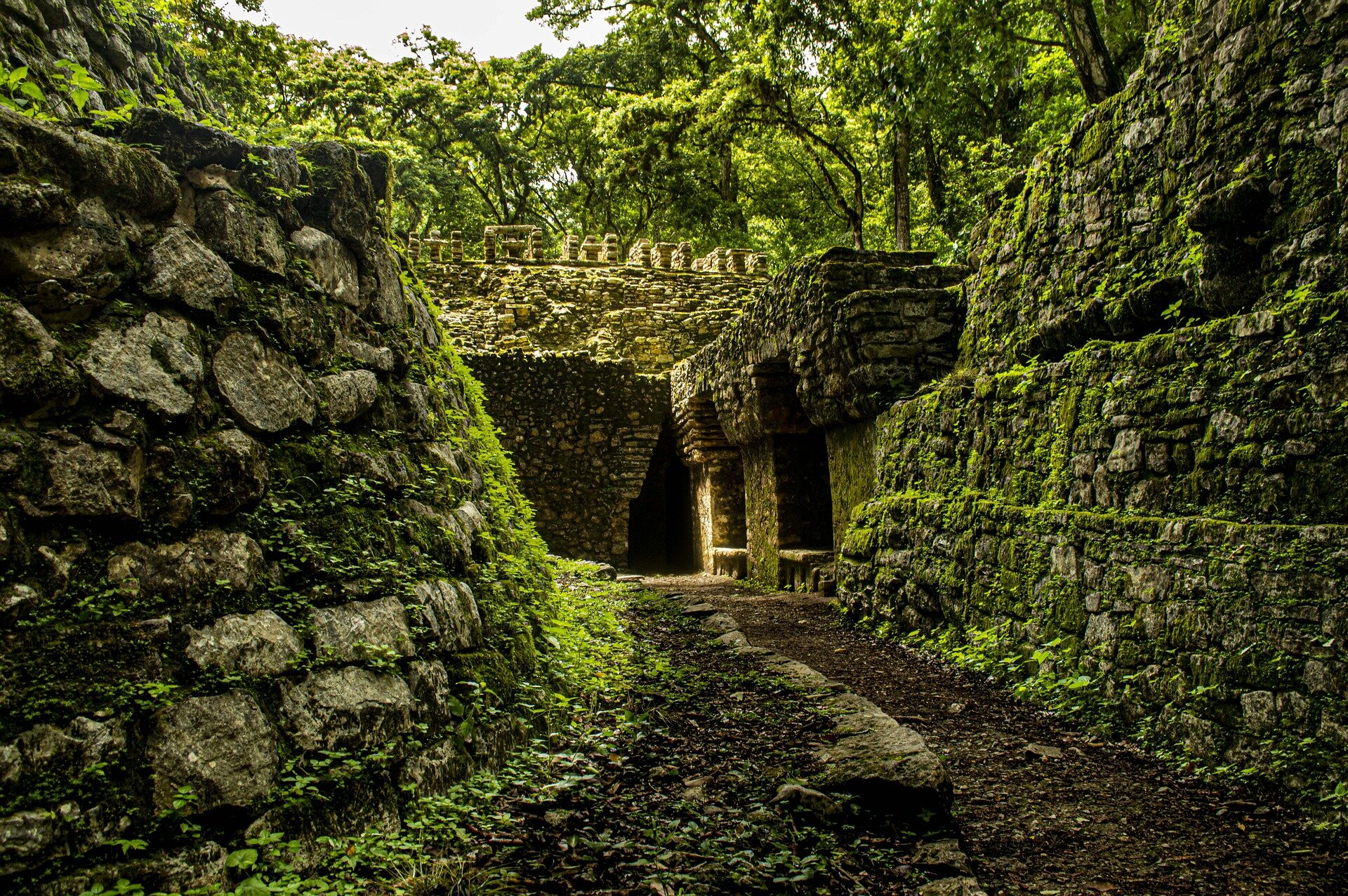Cité ababdonnée, civilisation oubliée, forêt dense (Asie ?).