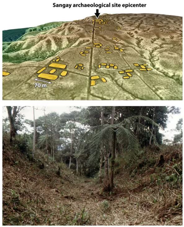 Cités urbanisées au cœur de la forêt amazonienne.