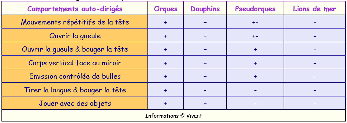 Comportements auto-dirigés chez des mammifères marins.