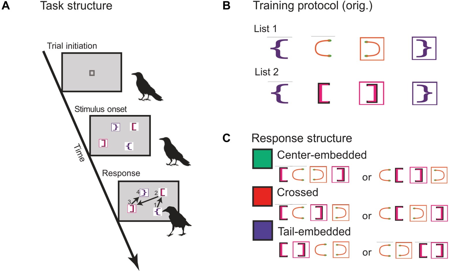 Corbeau entraîné à un test de récursivité (bloc, dans un bloc, dans un bloc.