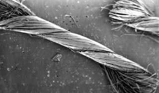 Fibres torsadées de coton