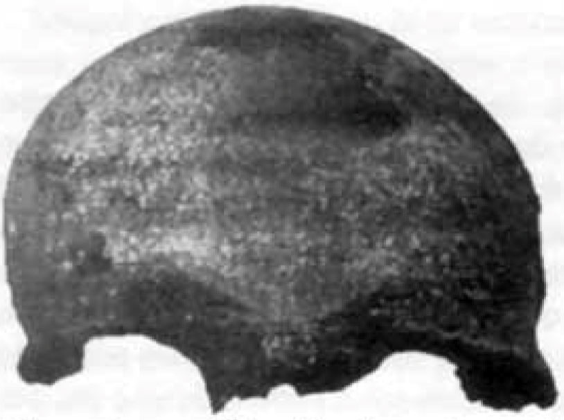 Fragment de crâne à Buenos Aires en Argentine vieux de 1,5 à 1 million d'années.