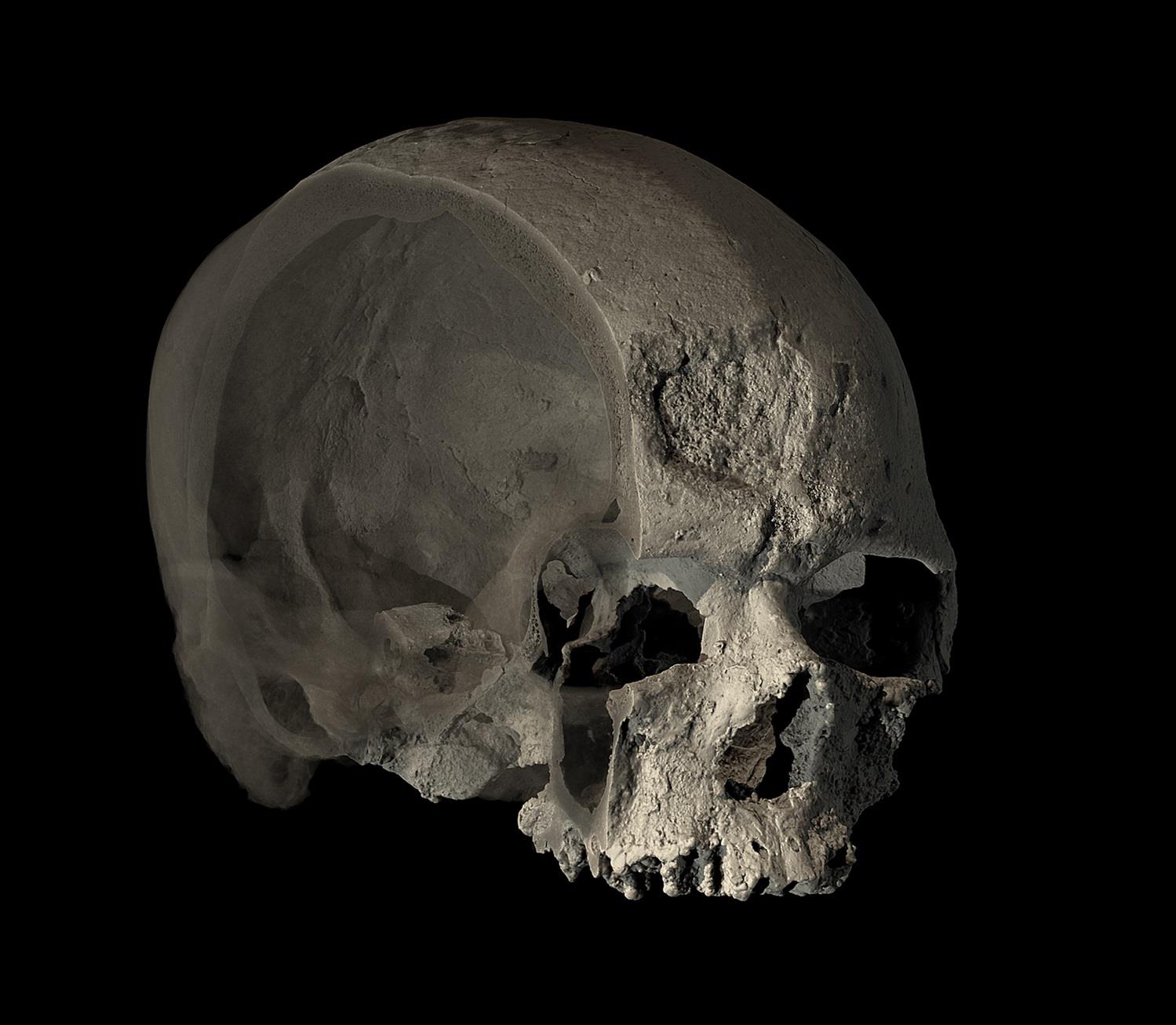 Crâne de Cro-Magnon