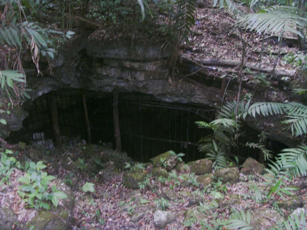 Sacrifices macabres (100 corps démembrés) par le peuple Mayas au Guatemala, il y a 1 750 à 2600 ans.