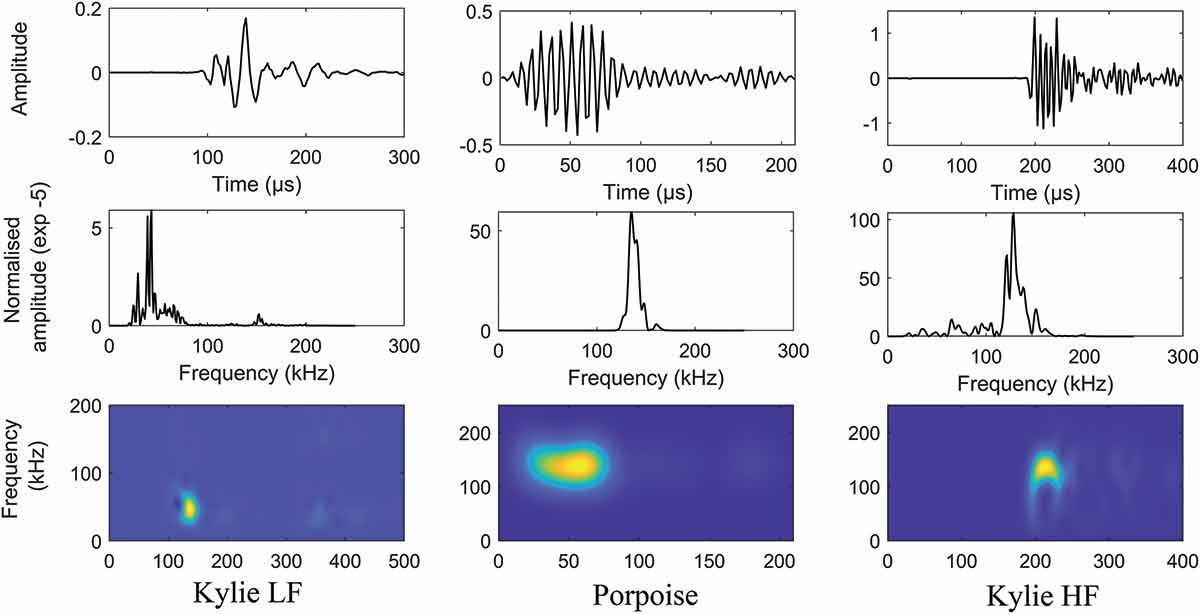 Comparaison de vocalise entre un marsouin & Kylie le dauphin.