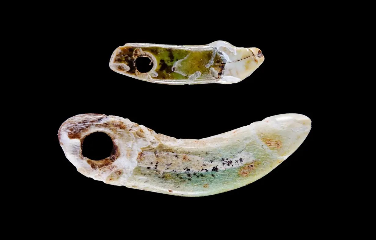 Dents de chien perforées (parure, collier ou diadème) dans une sépulture féminine en Saxe-Anhalt en Allemagne, vieilles de 4000 à 4500 ans.