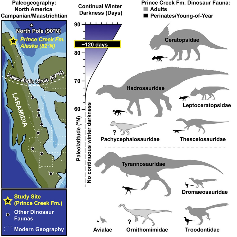 Dinosaures en Alaska, au pôle Nord