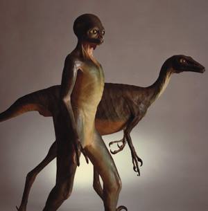 Dino-reptilien