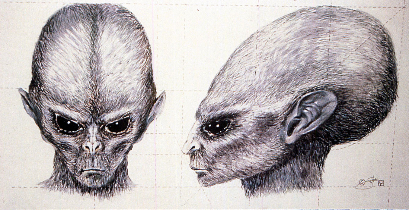 Humanoïde inamical