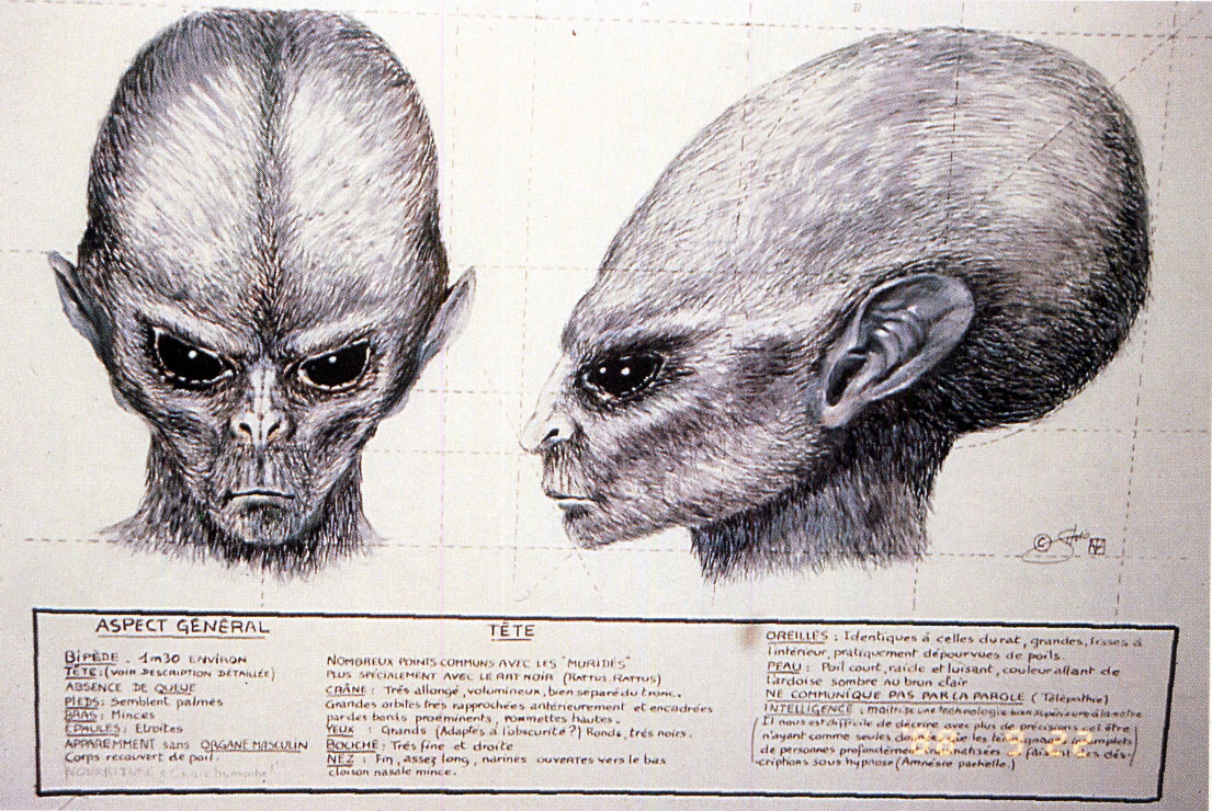 Humanoïde inamical