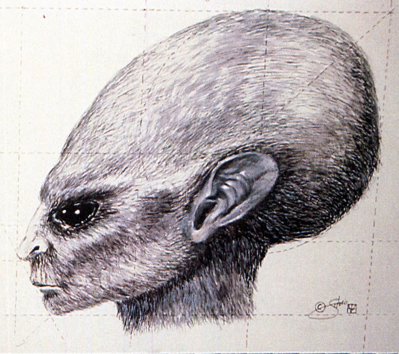 Humanoïde inamical