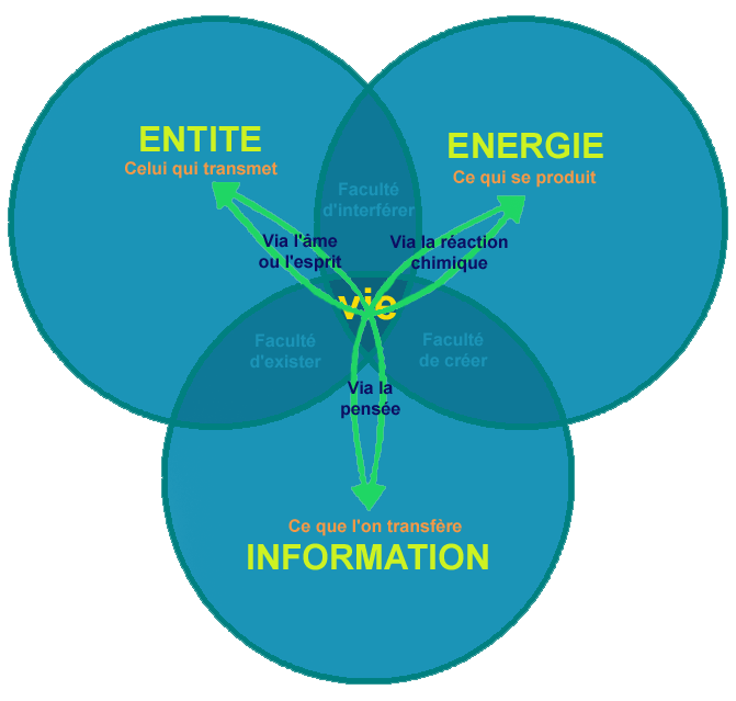 EIE: Entité-Information-Energie